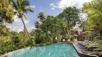 Outdoor pool, pool umbrellas, pool loungers