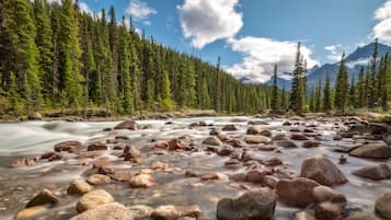 A river with clear water flowing over rocks, surrounded by dense green forest and mountains in the background.