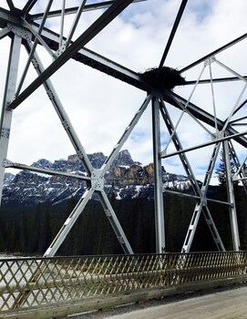 View from property looking out at Castle Mountain Chalets