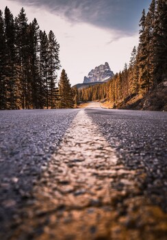 View from property looking out at Castle Mountain Chalets