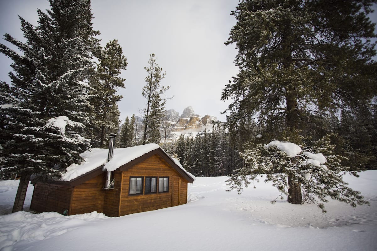 A wooden cabin surrounded by snow-covered trees and a mountain in the background.