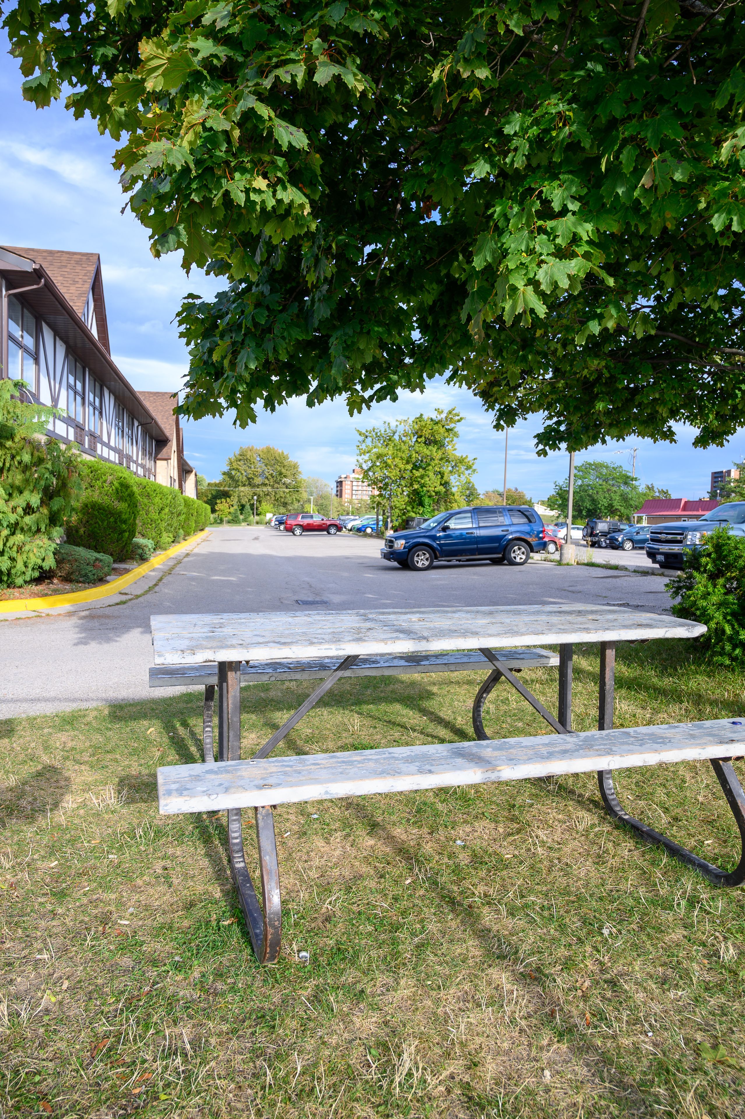 Una mesa de picnic en un área de césped, con un estacionamiento y edificios al fondo.