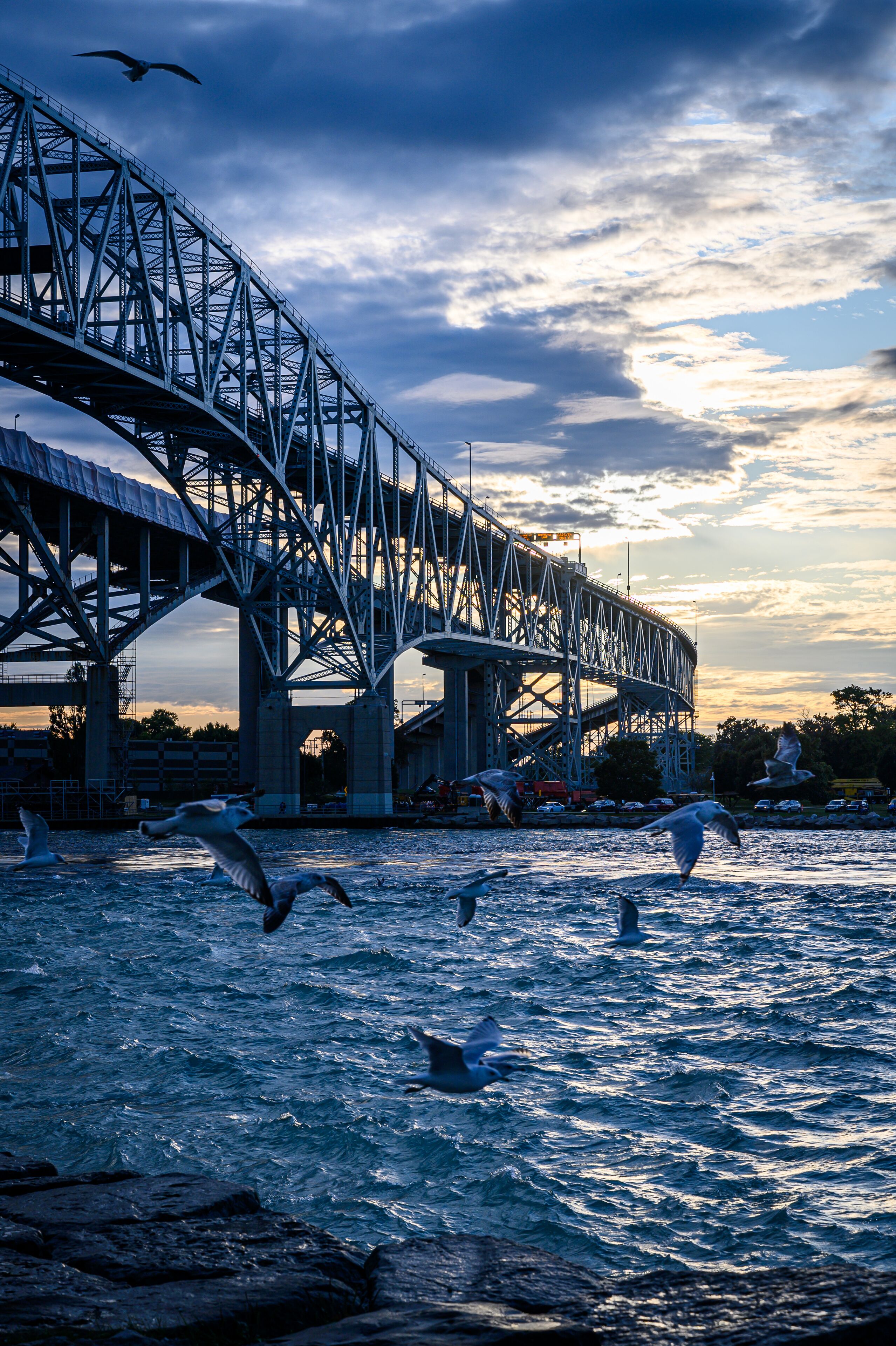 Un puente metálico grande sobre el agua, con varias gaviotas volando.