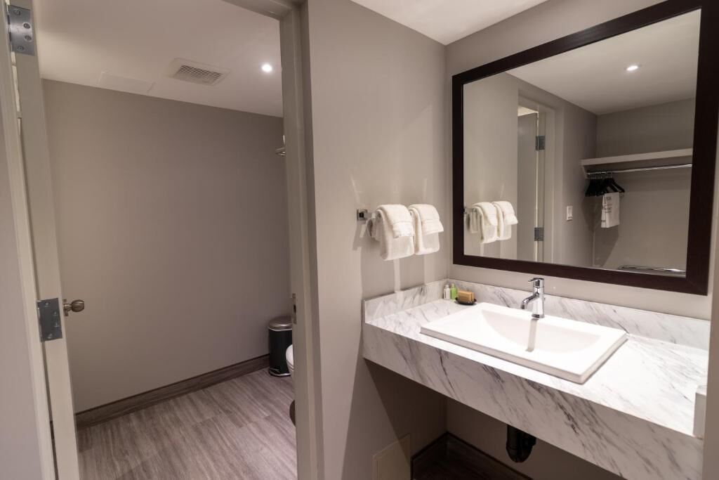 business studio suite, 1 king bed | bathroom | combined shower/bathtub, free toiletries, hair dryer, towels