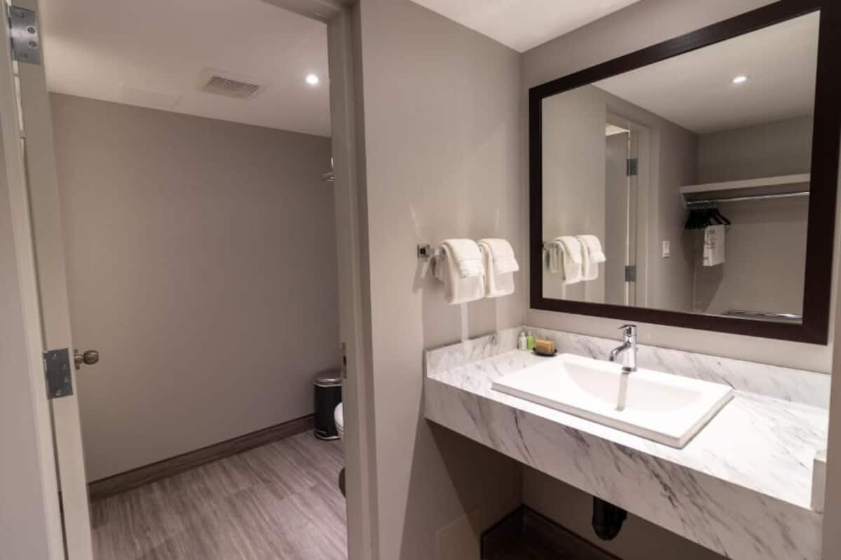 business studio suite, 1 king bed | bathroom | combined shower/bathtub, free toiletries, hair dryer, towels