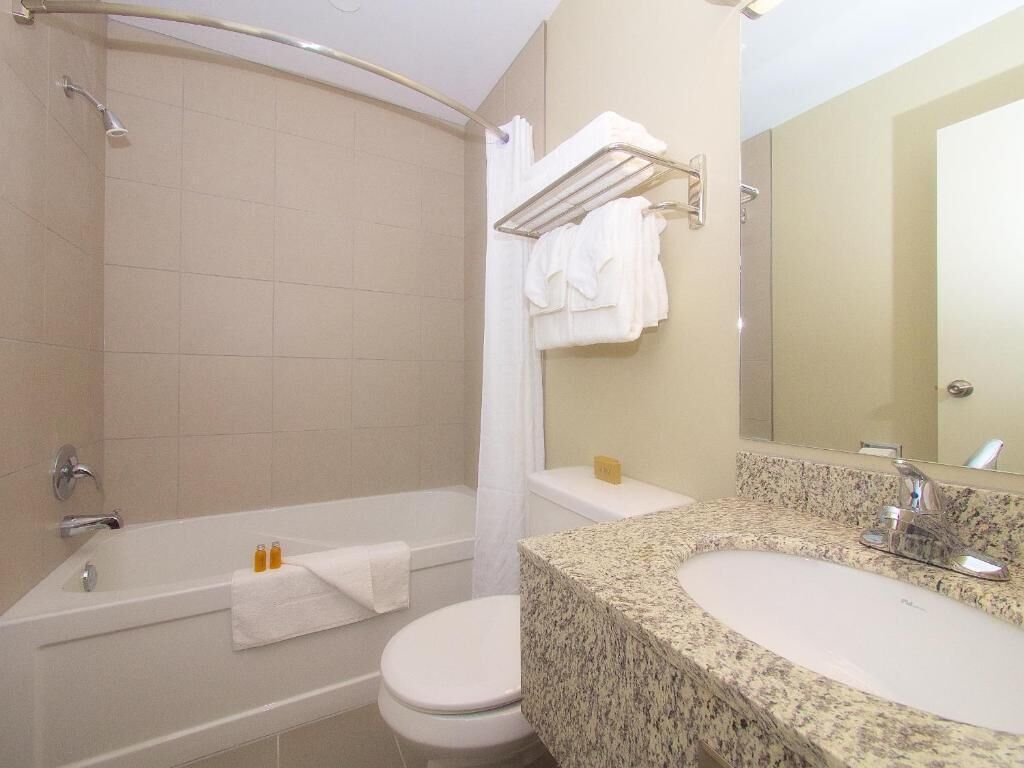 Une salle de bain avec douche, toilettes et lavabo.