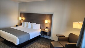 Deluxe Studio Suite