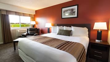 Deluxe Single Room, 1 King Bed, Refrigerator & Microwave | View from room