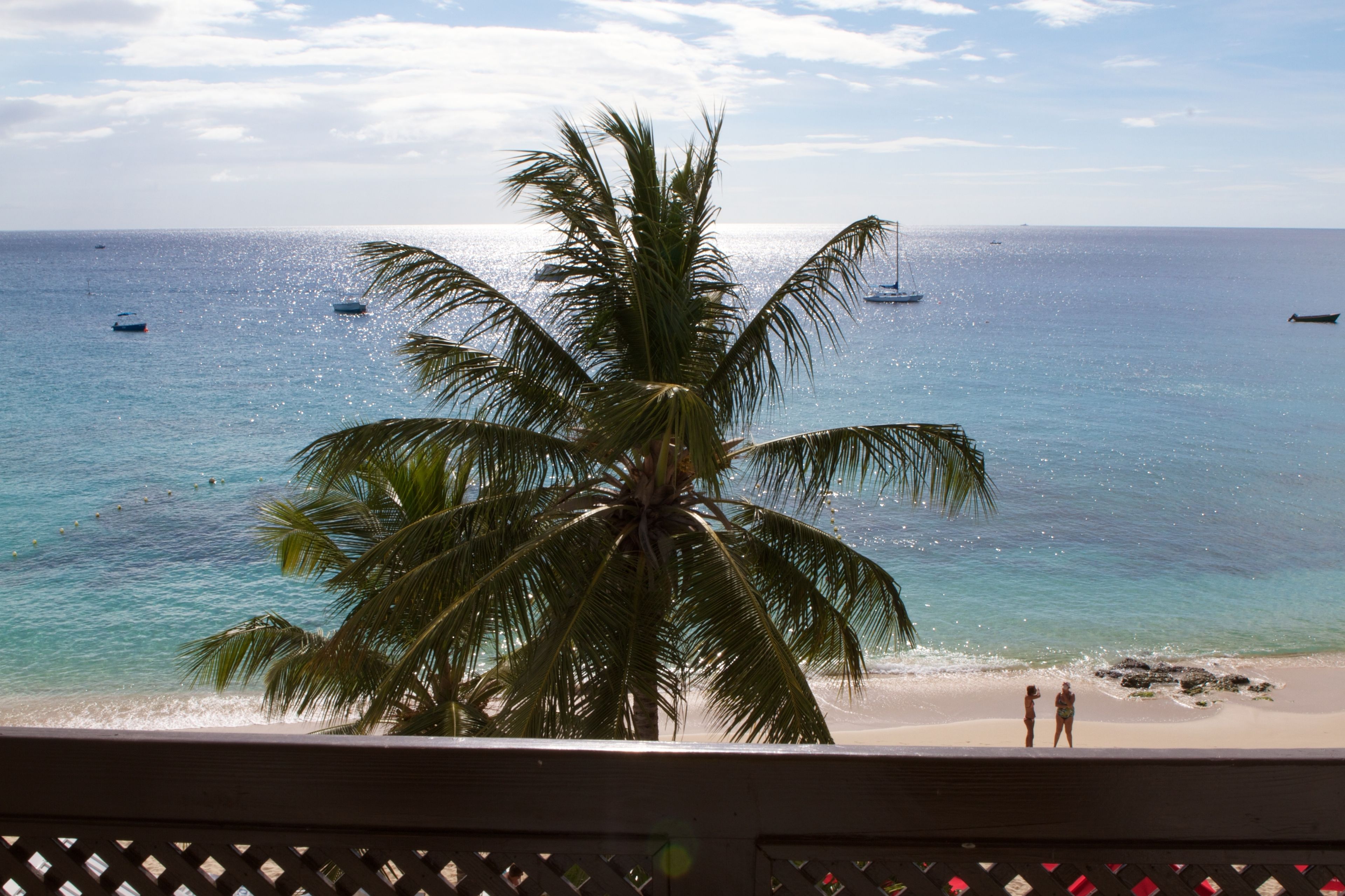 A beach view with a palm tree, ocean, and boats.