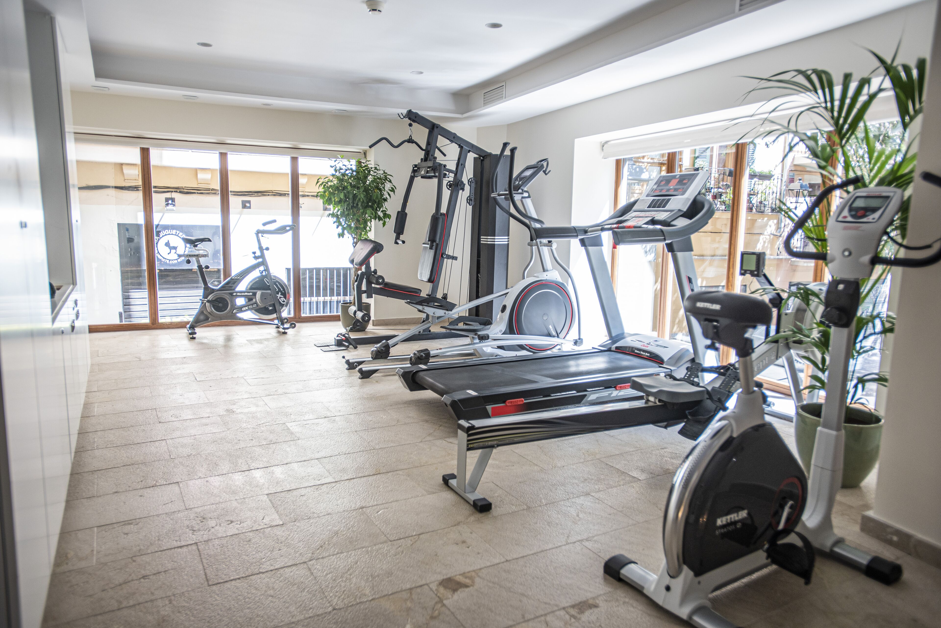 Un gimnasio con diferentes máquinas de ejercicio, un ventanal grande y una planta en maceta.