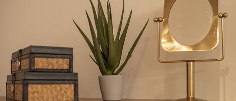 Una planta de aloe vera en maceta, un espejo y dos cestas tejidas sobre una superficie de madera.