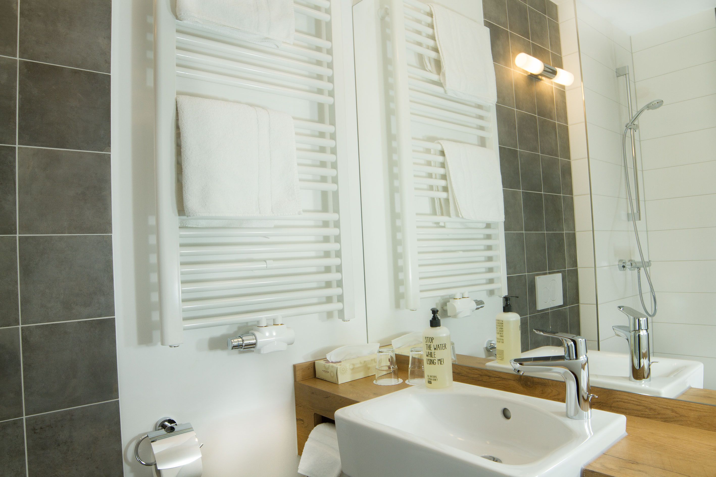 business double room | bathroom | shower, hair dryer, towels