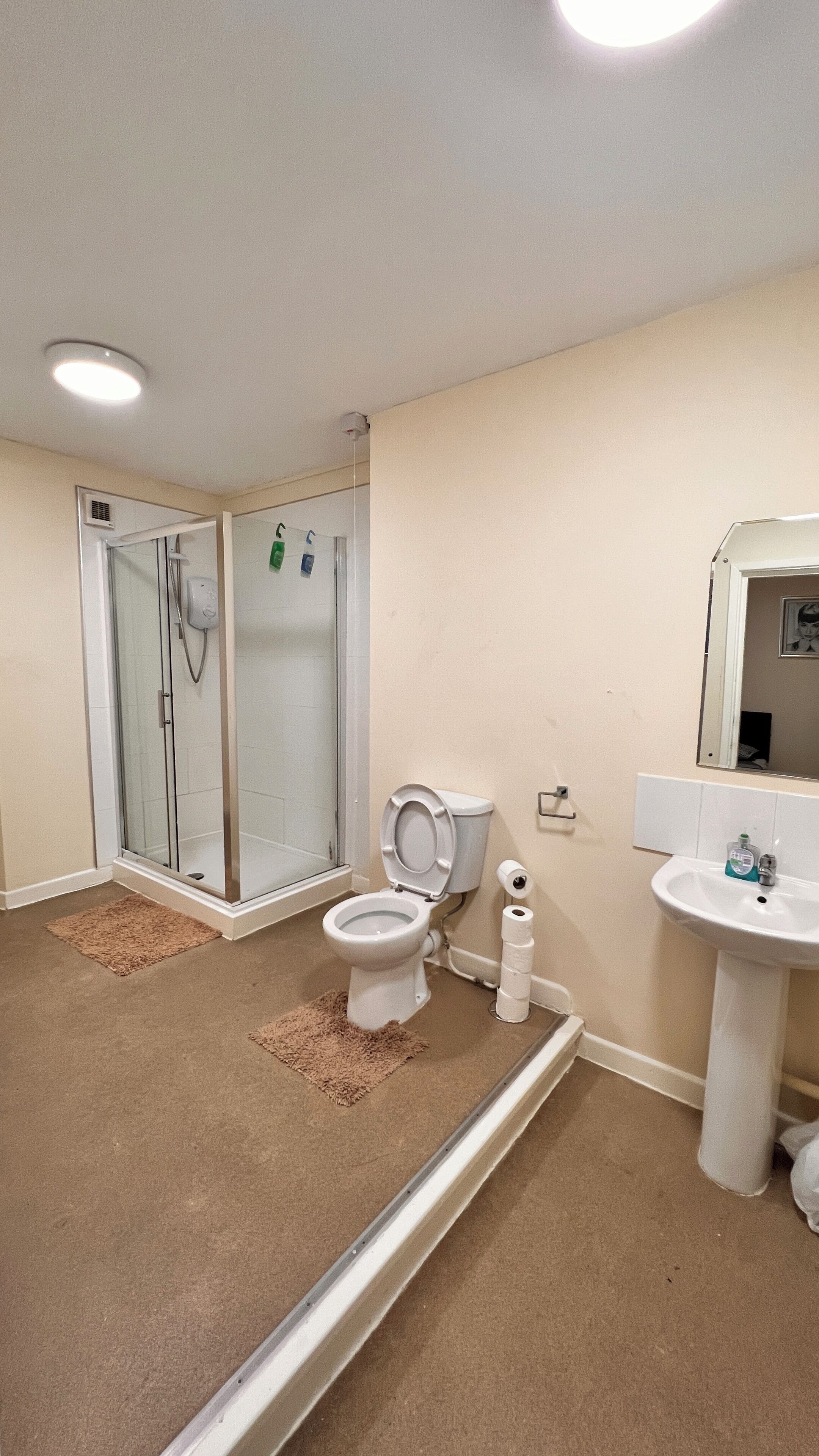A bathroom with a shower, toilet, and sink.