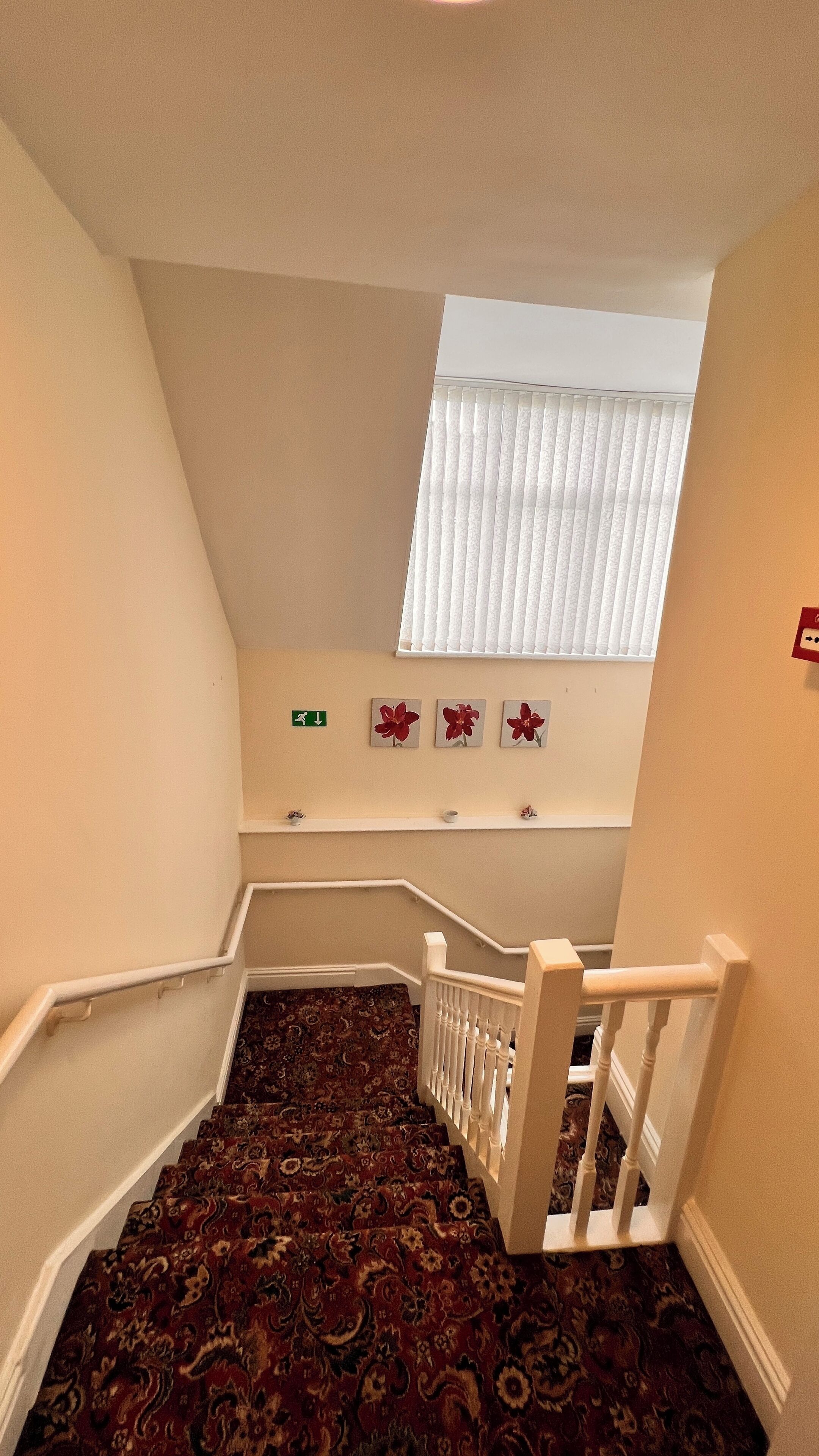 Photo - Castle Lodge Guest House