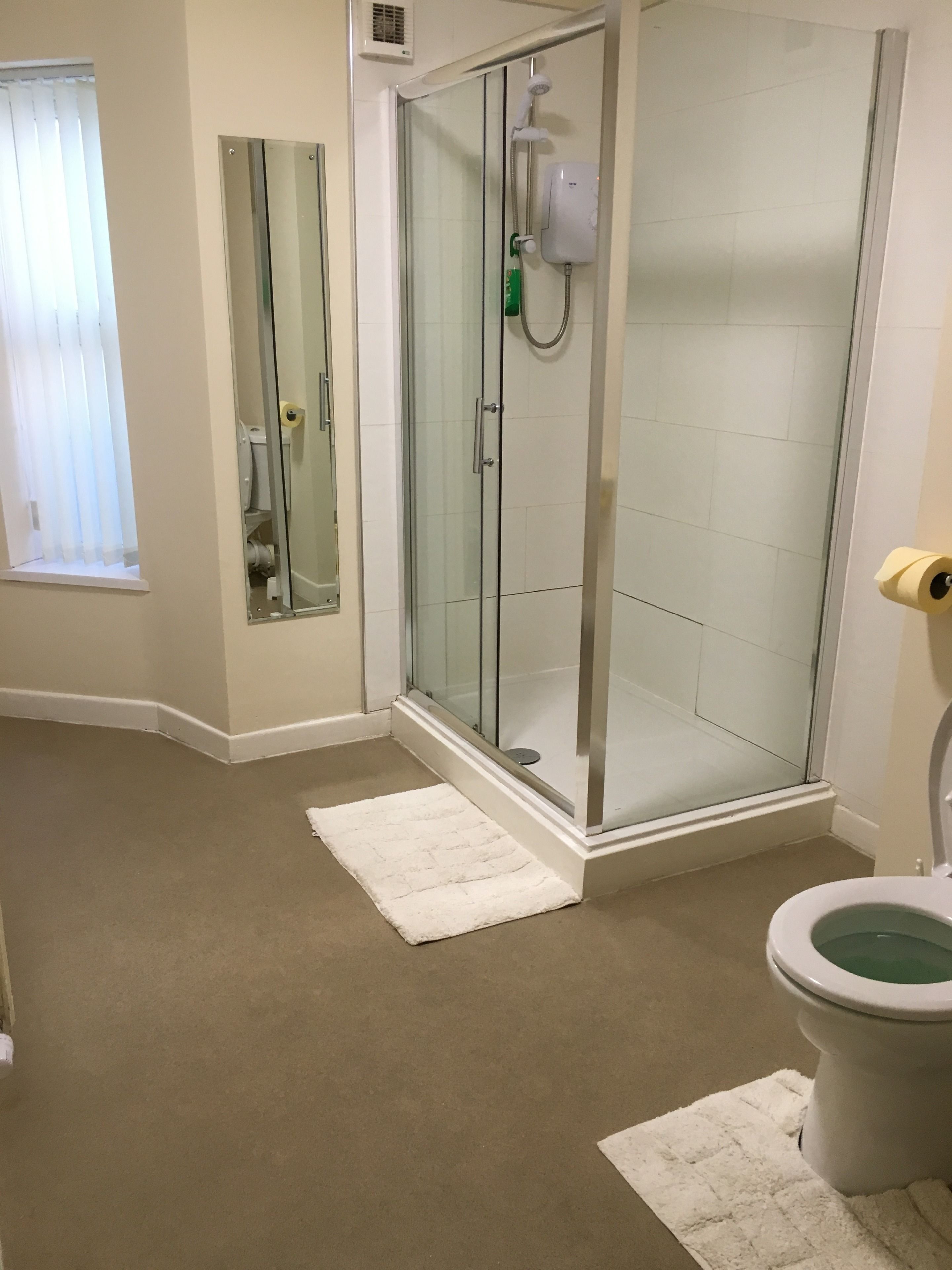 A modern bathroom with a glass-enclosed shower, a toilet, and a mirror.