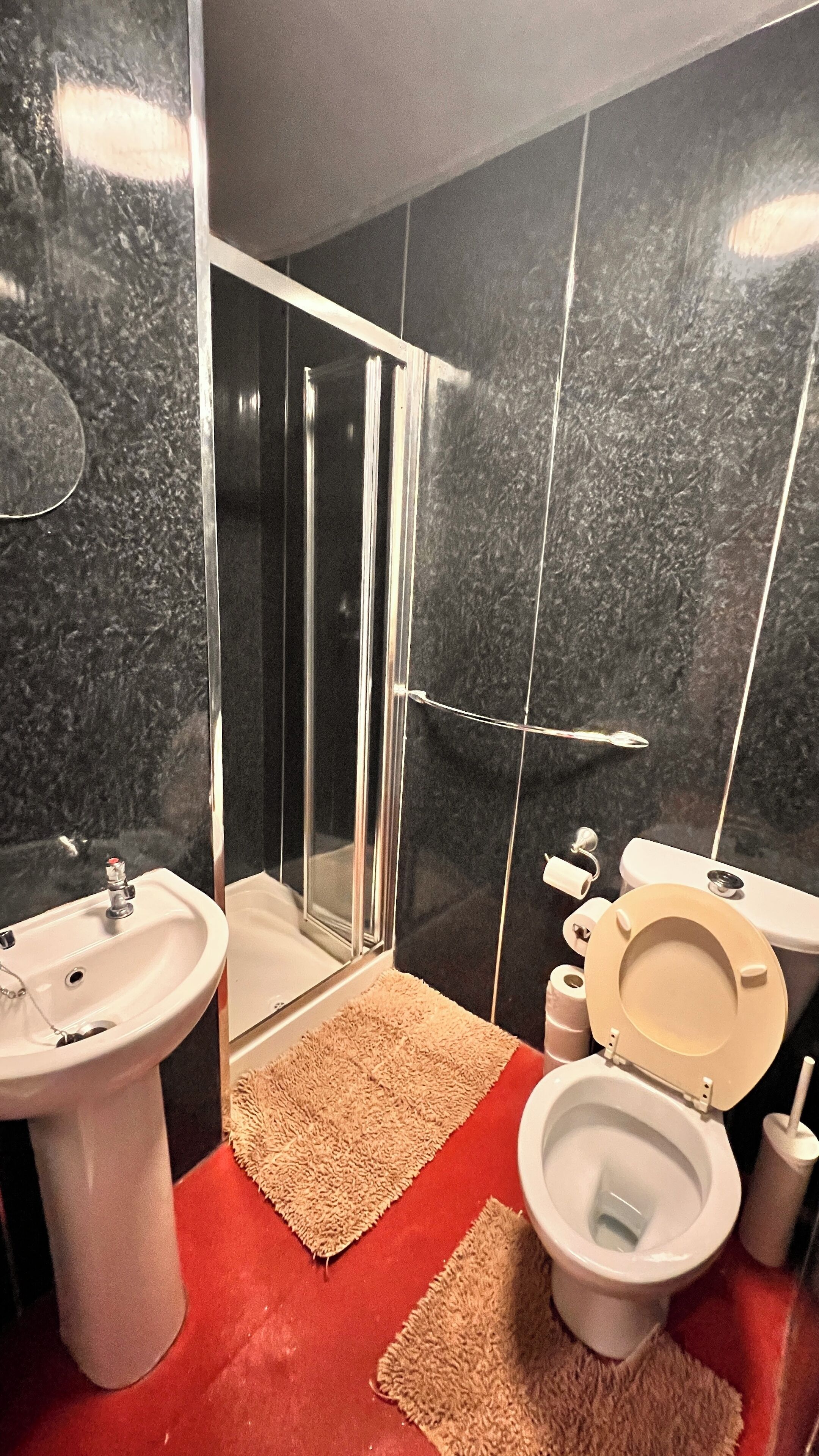 A modern bathroom with a glass shower enclosure, a white sink, and a toilet.