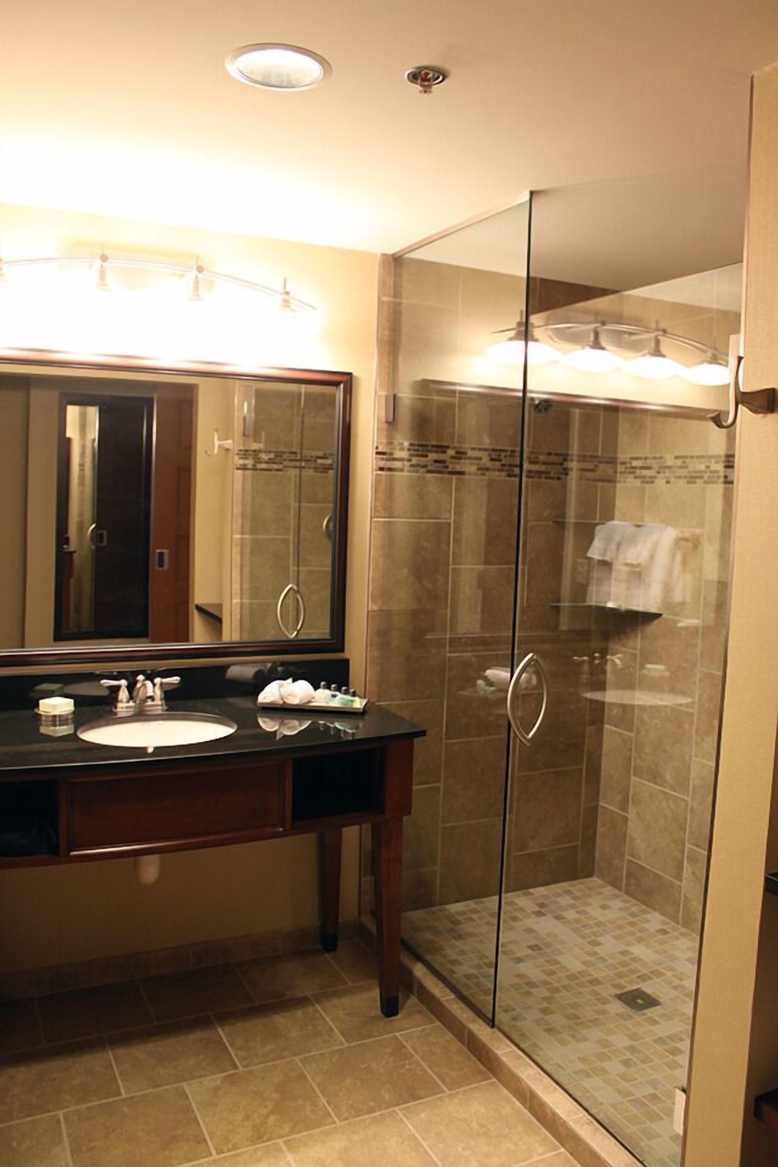 shower, designer toiletries, hair dryer, towels