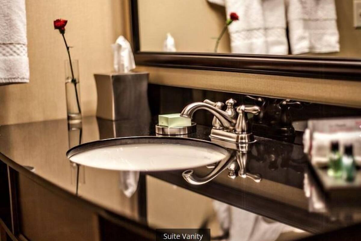 shower, designer toiletries, hair dryer, towels