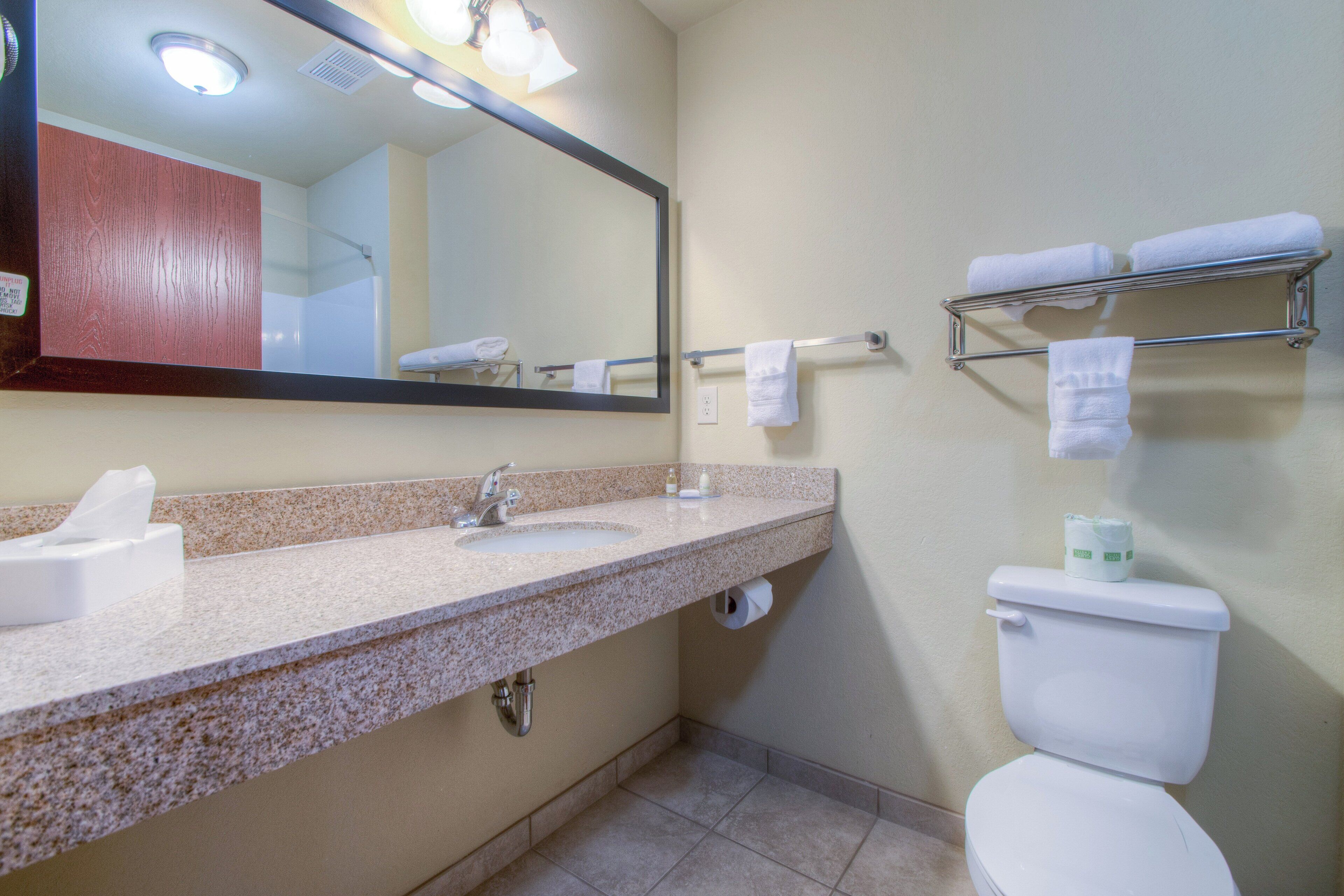 Une salle de bain avec un lavabo à vasque en granit, un miroir, des toilettes et un porte-serviettes.