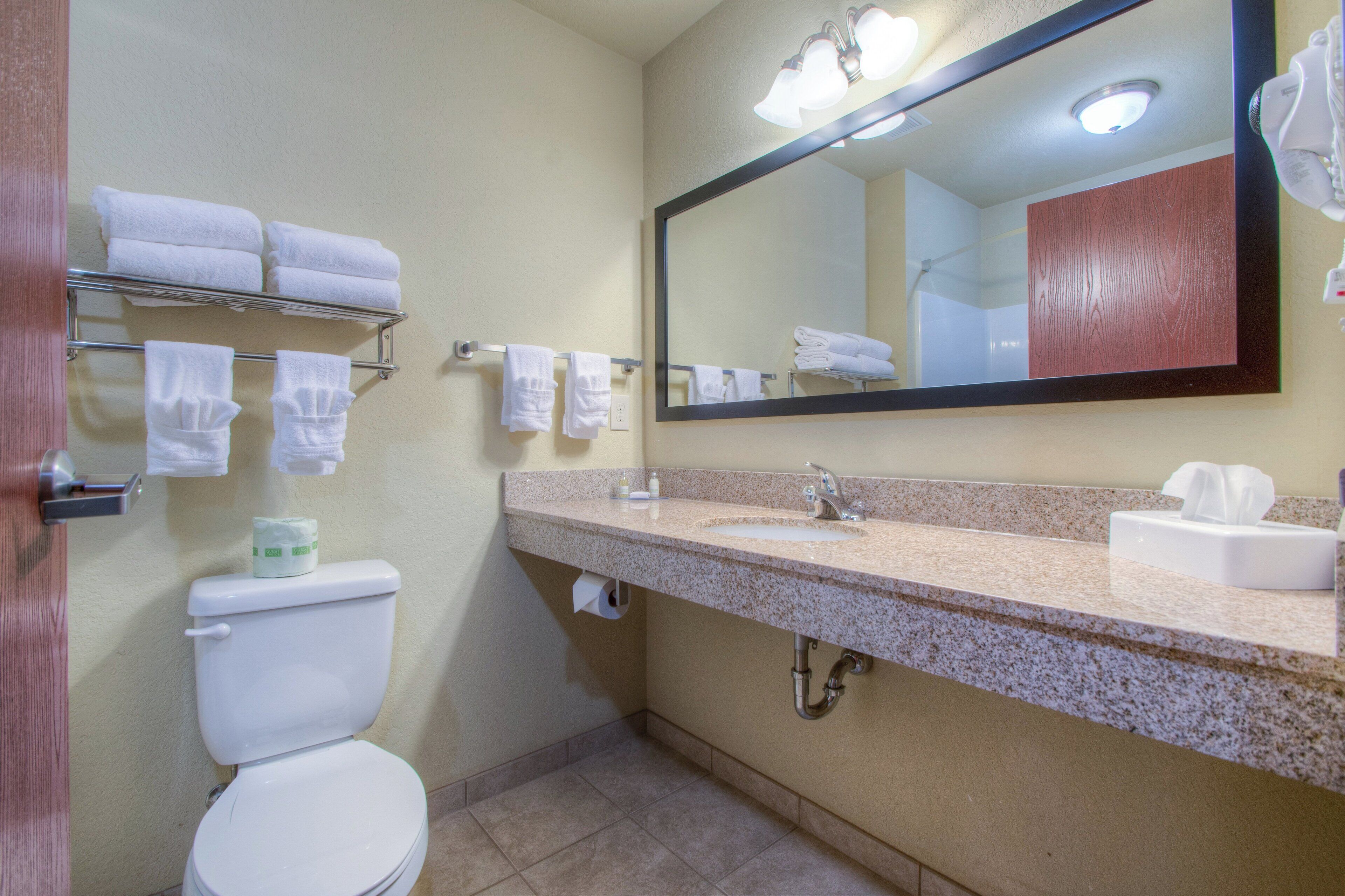 combined shower/bathtub, free toiletries, hair dryer, towels