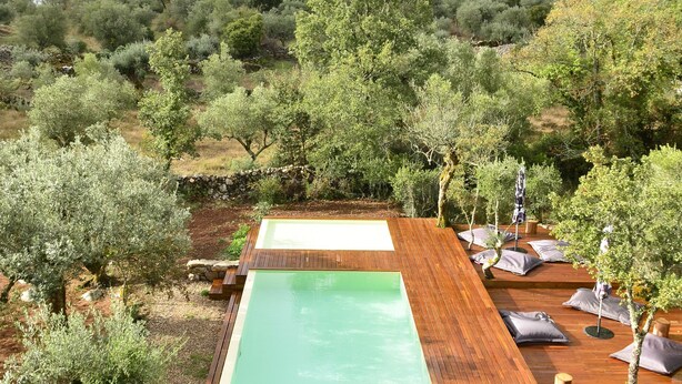A rectangular pool with a wooden deck and lounge chairs, surrounded by olive trees and hills. - Cooking and Nature Emotional Hotel (Porto de Mos)
