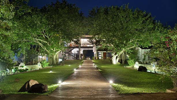 Jardin