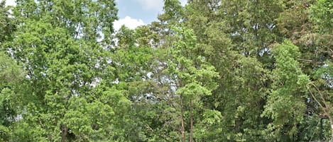 2 個室內泳池、室外泳池;泳池傘、躺椅