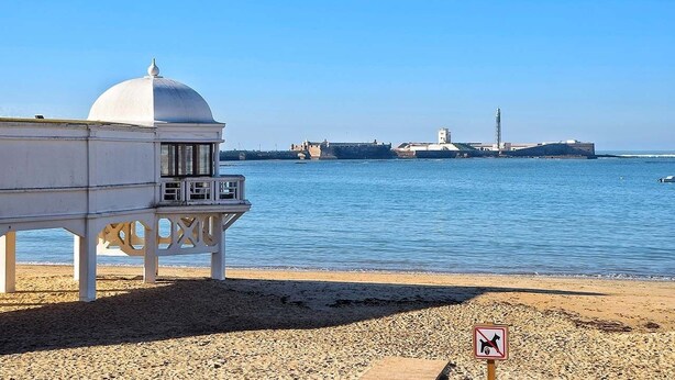 Une plage avec un bâtiment blanc et un panneau indiquant qu’il est interdit d’y accéder avec des chiens.