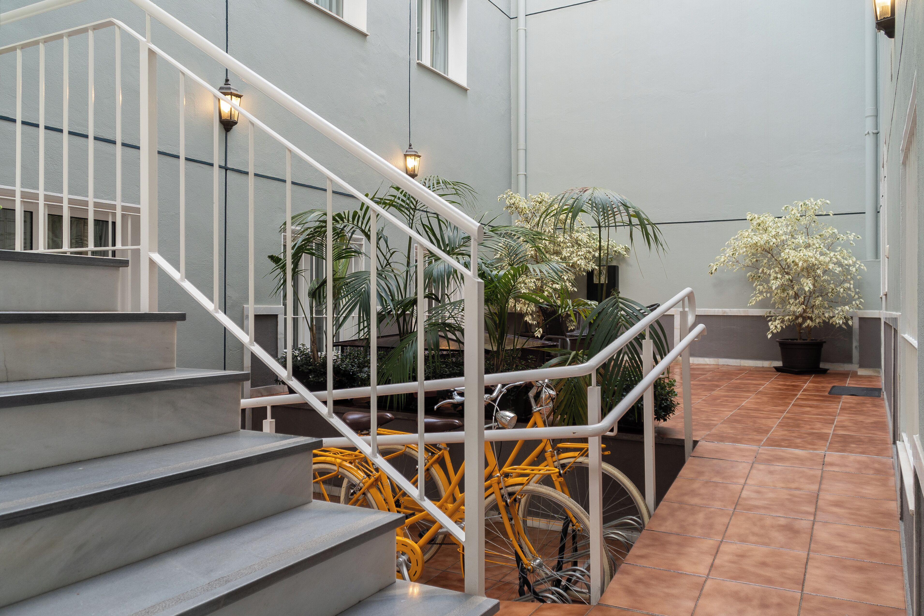 Una escalera con barandillas blancas y una planta en maceta a su lado.