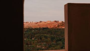 A view through an arched window of a landscape with greenery and distant buildings.