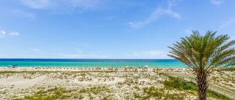 A beach with a palm tree, sandy shore, and a clear blue sky.