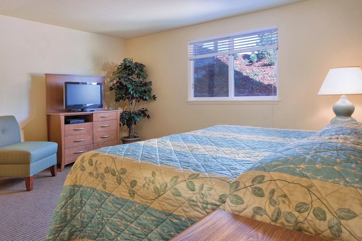 A bedroom with a bed, a television on a dresser, a chair, a window with blinds, and a lamp.