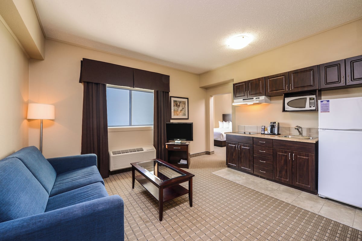 Standard Studio Suite, 1 Queen Bed with Sofa bed, Kitchenette | Laptop workspace, blackout drapes, iron/ironing board, WiFi (free)