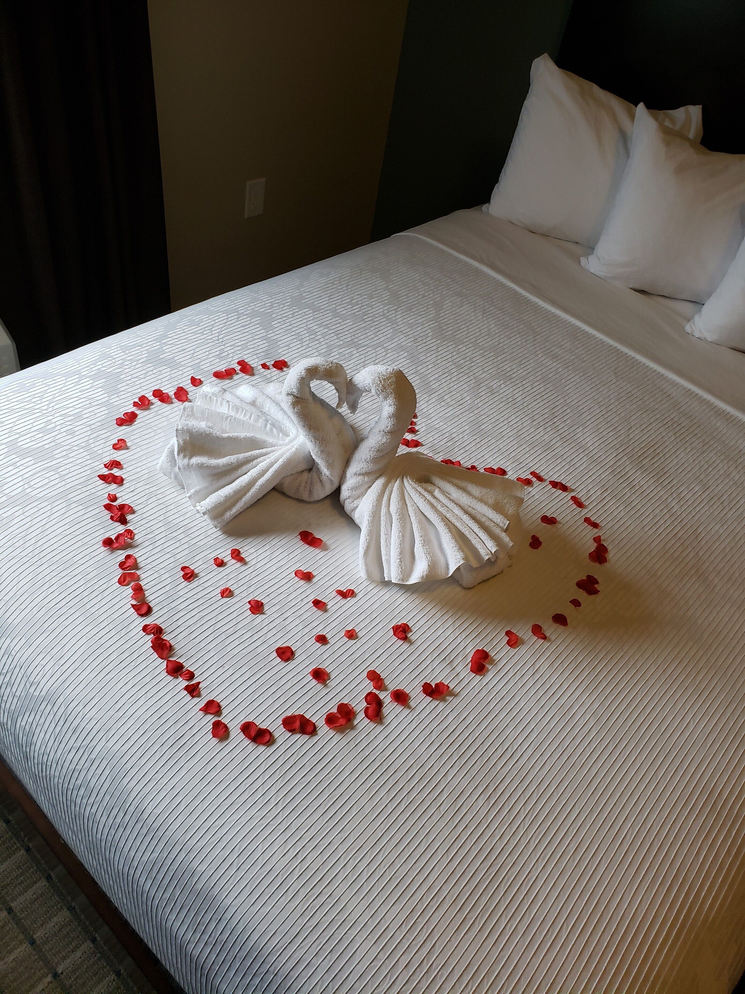 Espacio para trabajar con laptop y cortinas blackout 