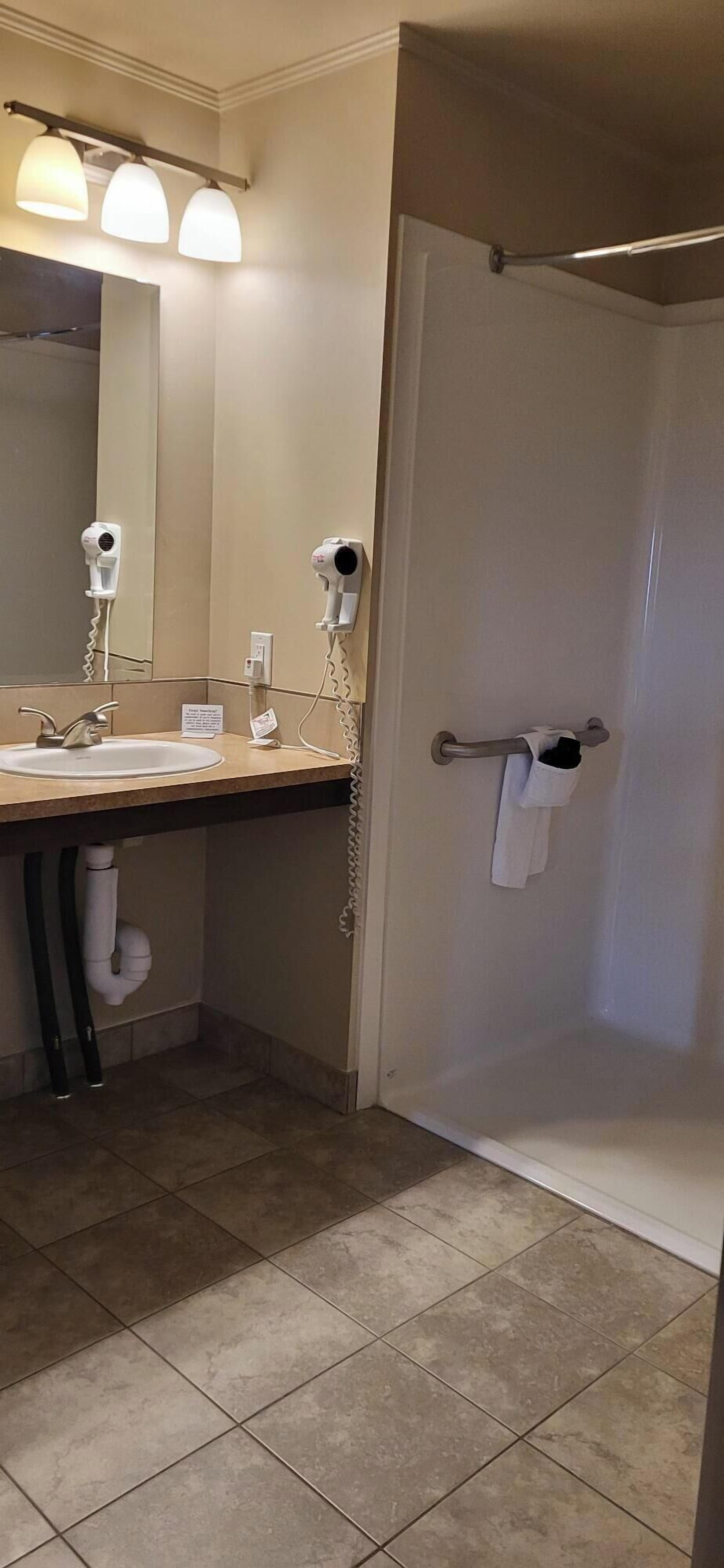 standard studio suite, 1 queen bed with sofa bed, accessible, kitchenette | bathroom | free toiletries, hair dryer, towels, soap