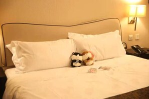 Alarm clocks - Donghuang Kaili Hotel (Beijing)