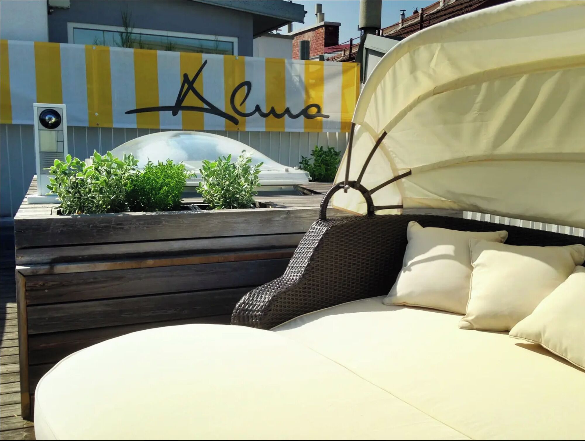 Terraza o patio