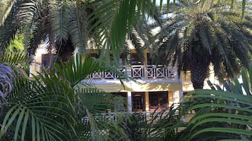 Vista al jardín