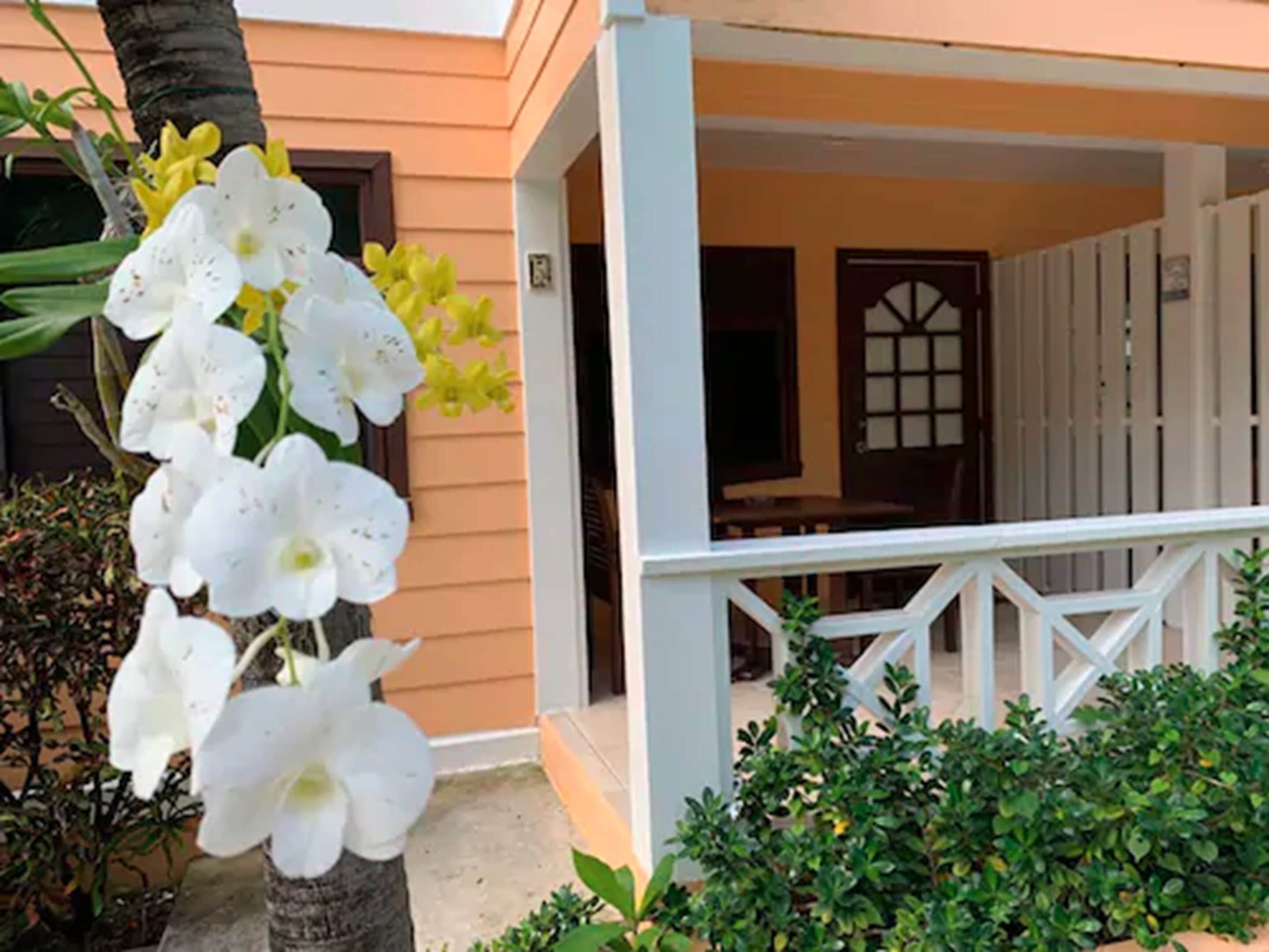 Suite, 1 kingsize-seng med sovesofa, bassengutsikt | Terrasse/patio