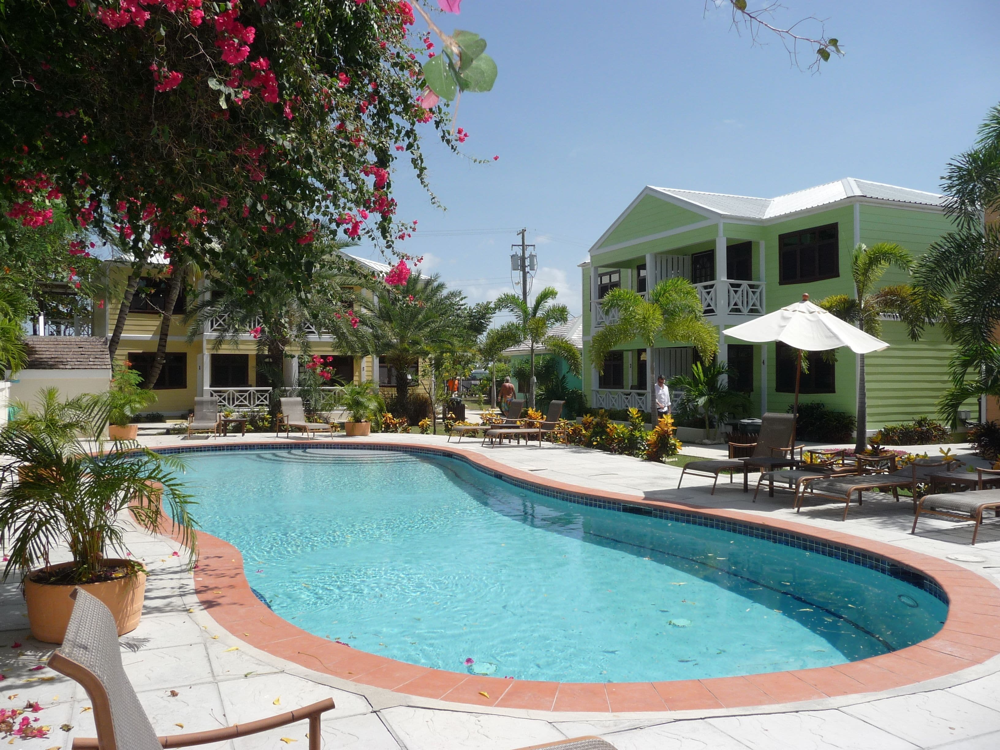 A swimming pool with lounge chairs and umbrellas, surrounded by greenery and buildings.