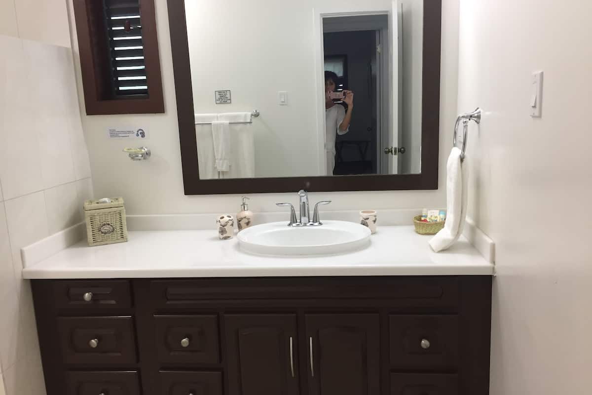 shower, rainfall showerhead, free toiletries, hair dryer