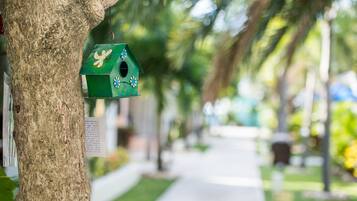 A tree with a green birdhouse hanging from its branch.
