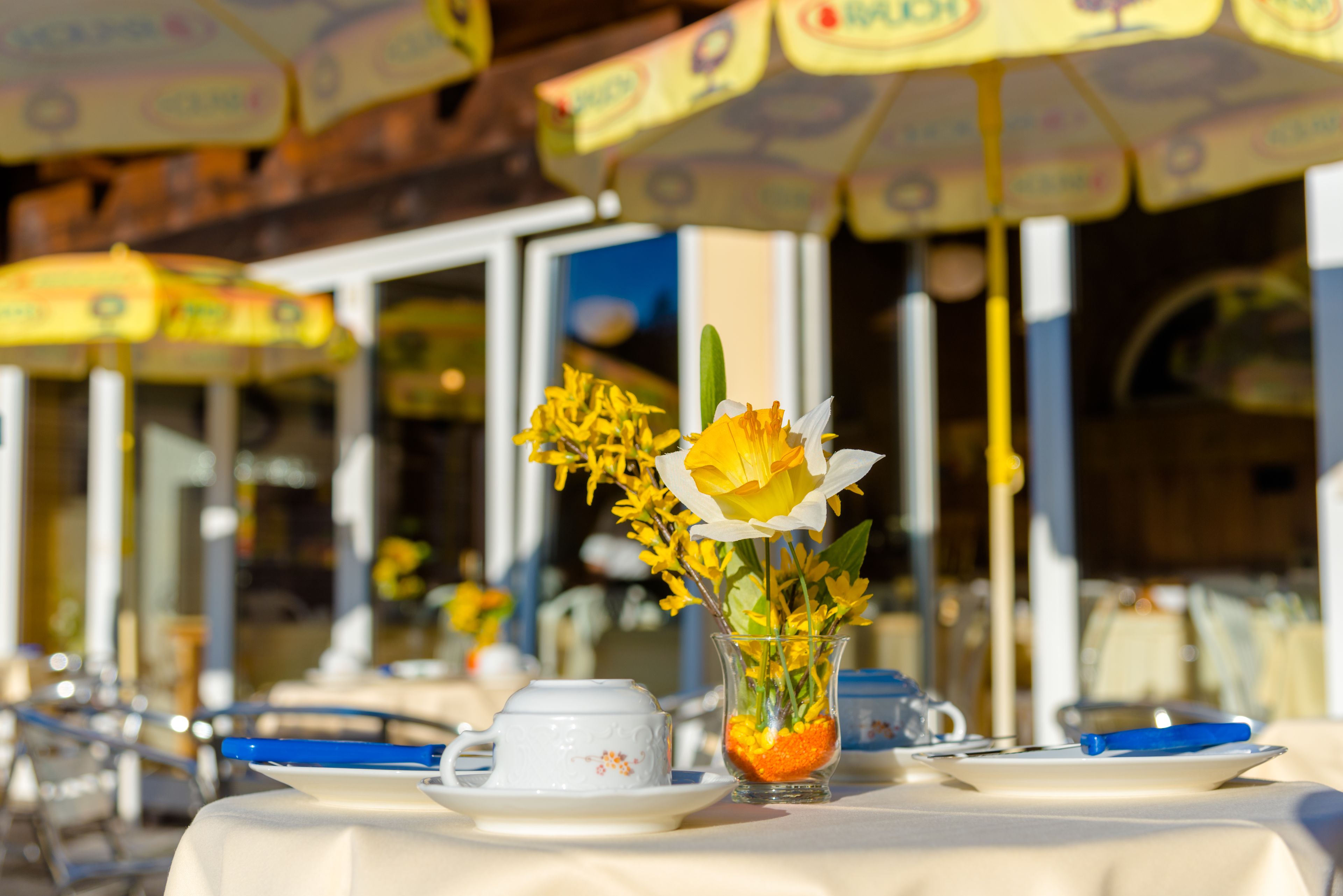 free buffet breakfast