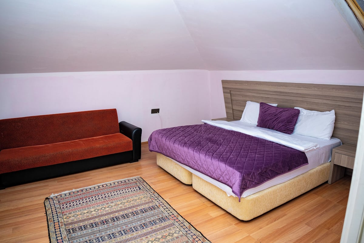 A bedroom with a bed, a sofa, and a rug.