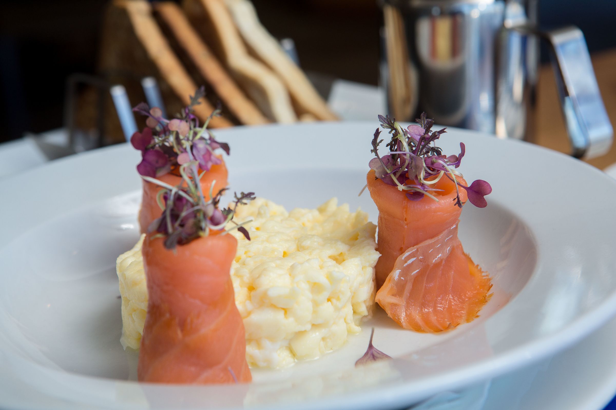 فطور كامل مجانًا يوميًا