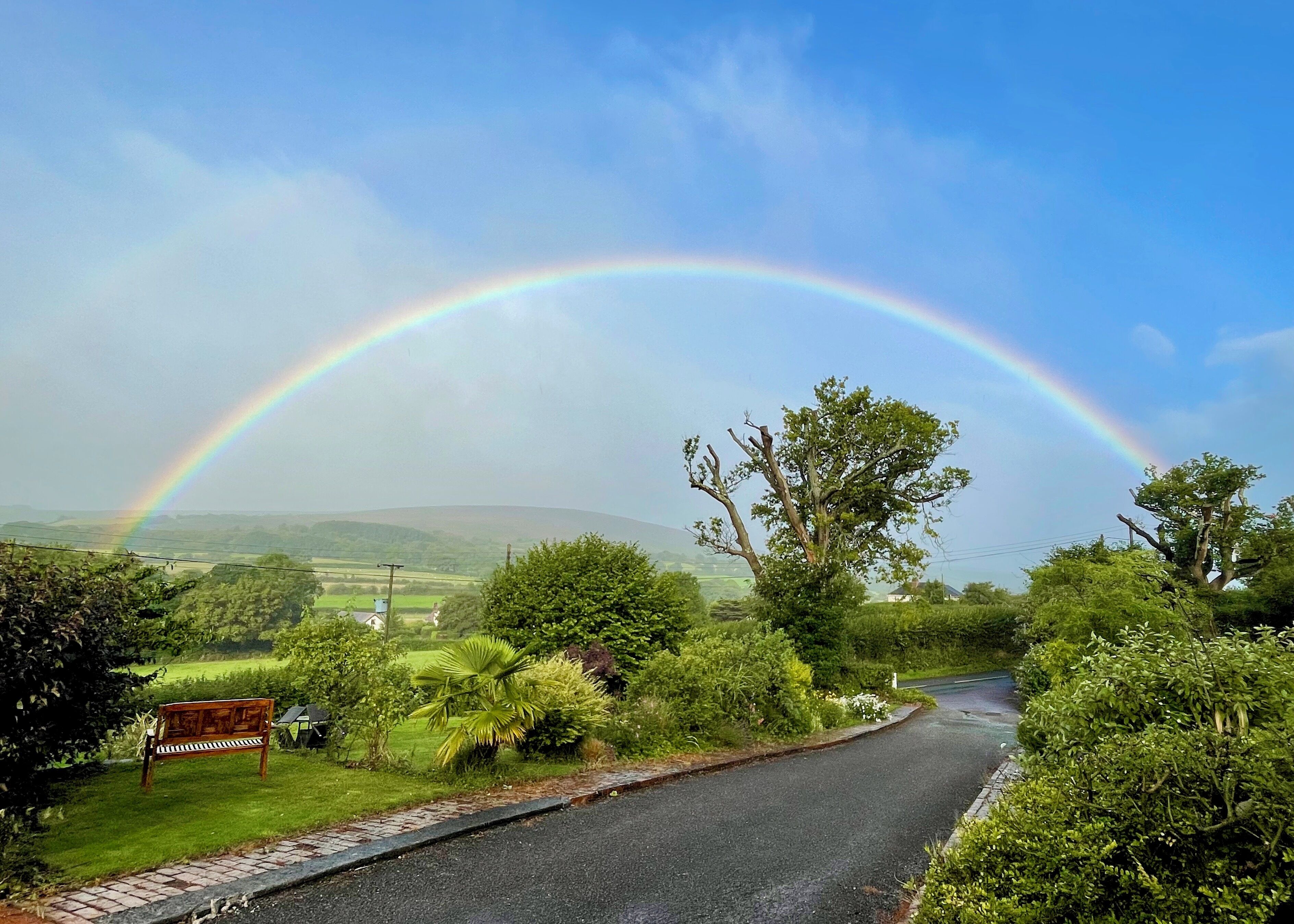 A rural road with a rainbow, greenery, and a bench.