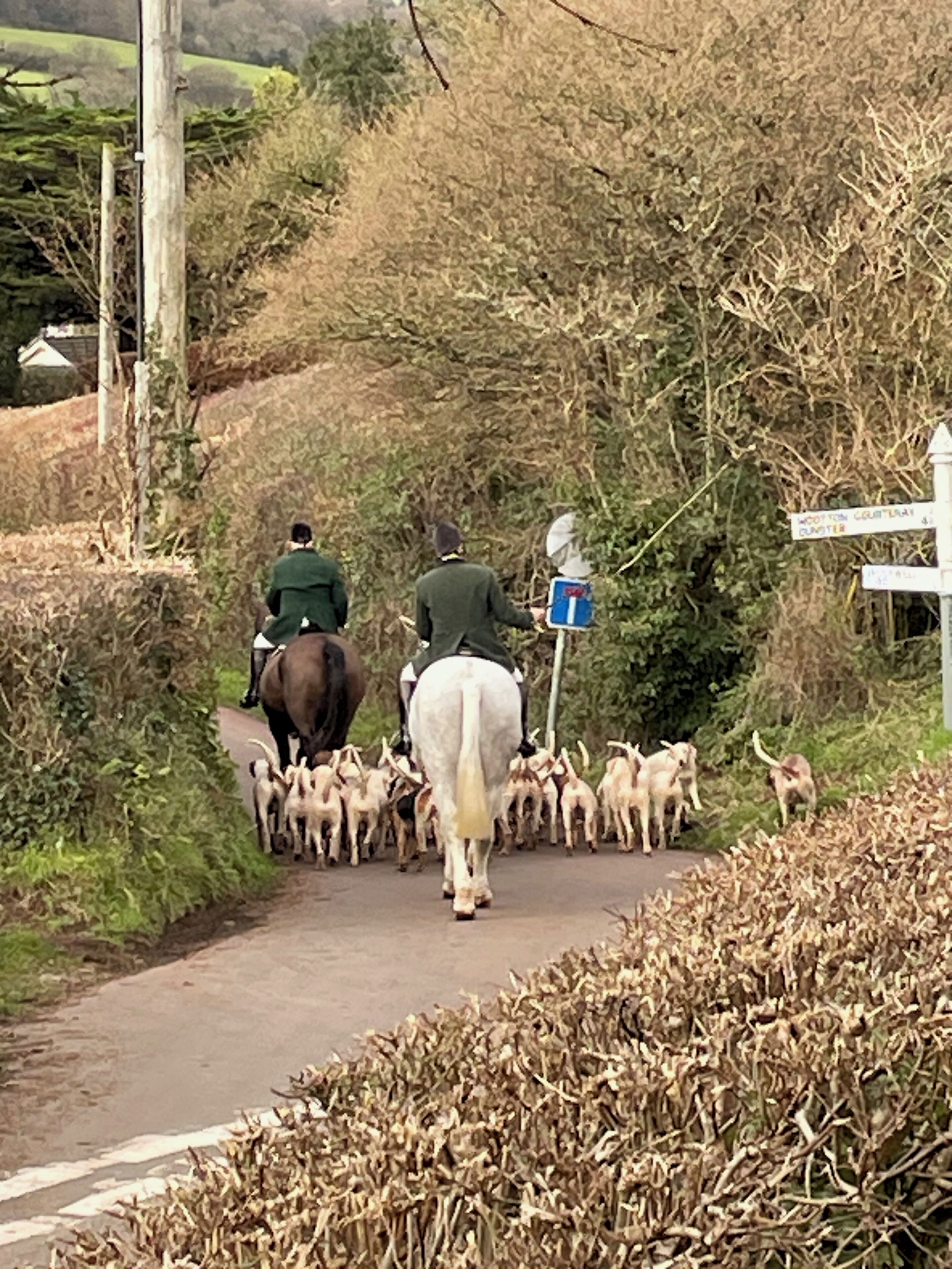 A rural road with horse riders and a herd of goats.