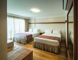 Luxury Apartment | Minibar, desk, blackout drapes, free WiFi
