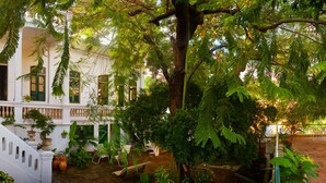 Un edificio blanco con balcón, plantas en macetas y mesas al aire libre.