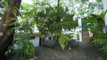Un patio con un sendero de ladrillo, bancos y abundante vegetación, incluyendo árboles grandes y plantas en macetas.
